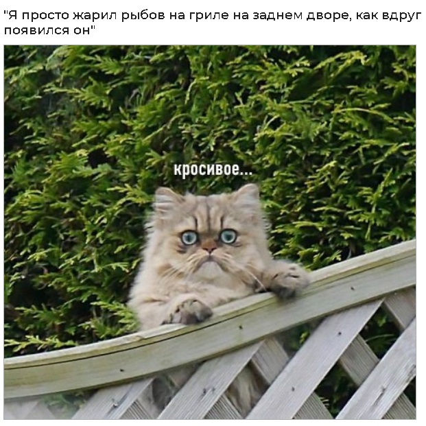 Картинки и мемы для настроения - 03