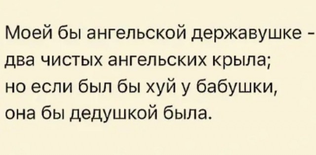 Весёлый полтишок 11.08.22