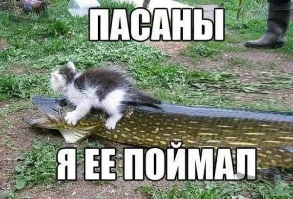 Прикольные и просто красивые картинки 05.09.2022