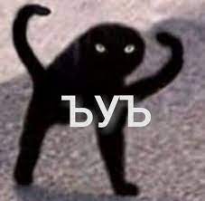 Почему жизнь с "пополамщицей" это дно!