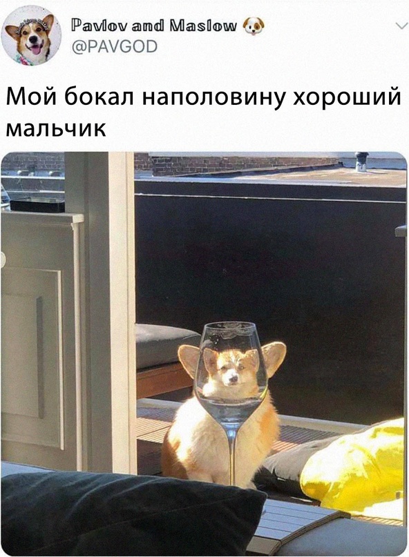 Картинки и мемы для настроения - 119