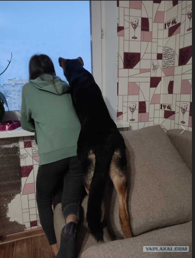 Эмм...