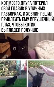КисОВторнику быть! Всех с Новым Годом!