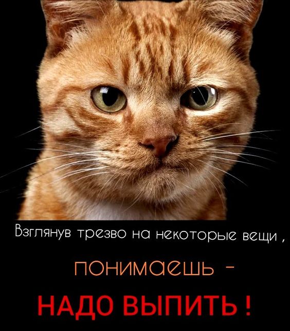 Прикольные и просто красивые картинки 20.01.2023