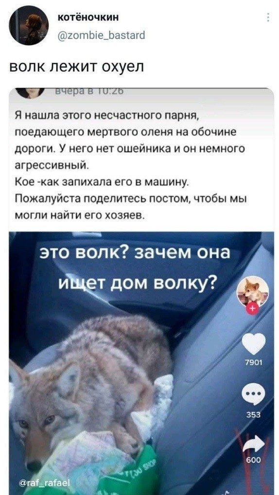 Некрасавица