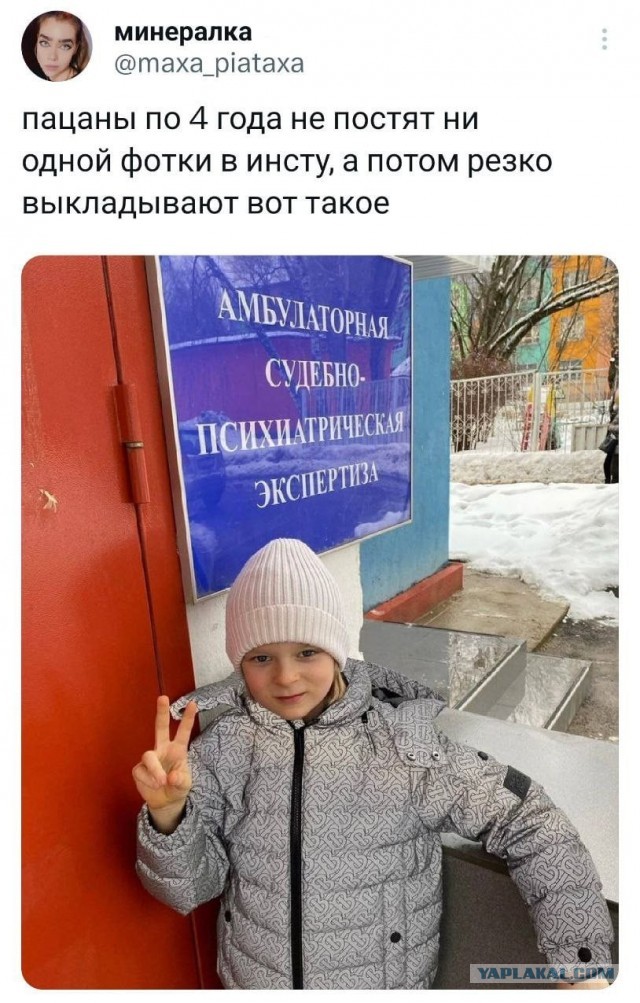 Щенка забрали - с ним все хорошо