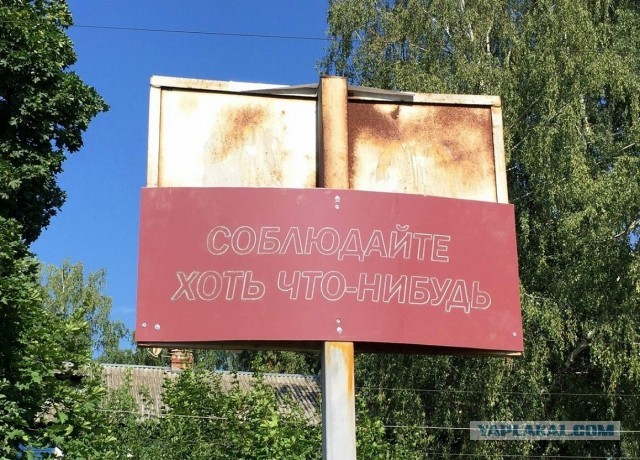 Улыбательные картинки...