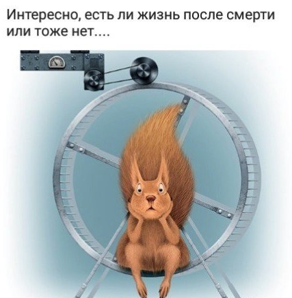 Удивлению нет предела или тип семьи, который входит в моду