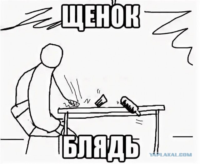 Кто виноват?