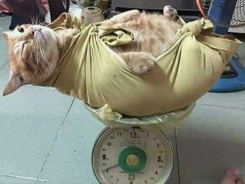 Странная штука