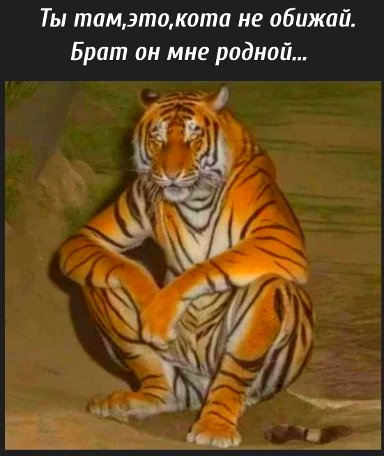 Настало время мести