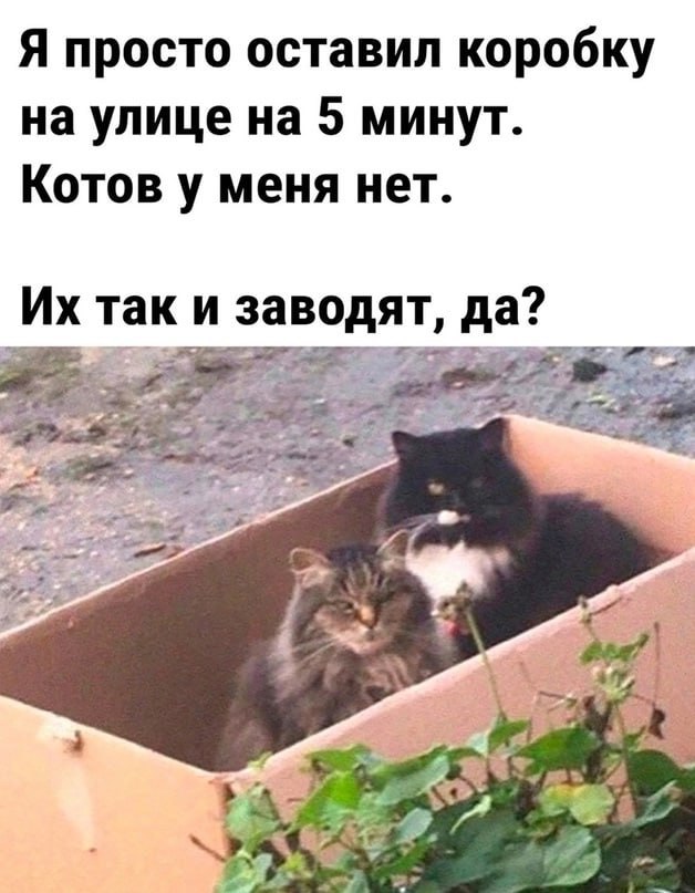Завалялось тут случайно немного забавных картинок