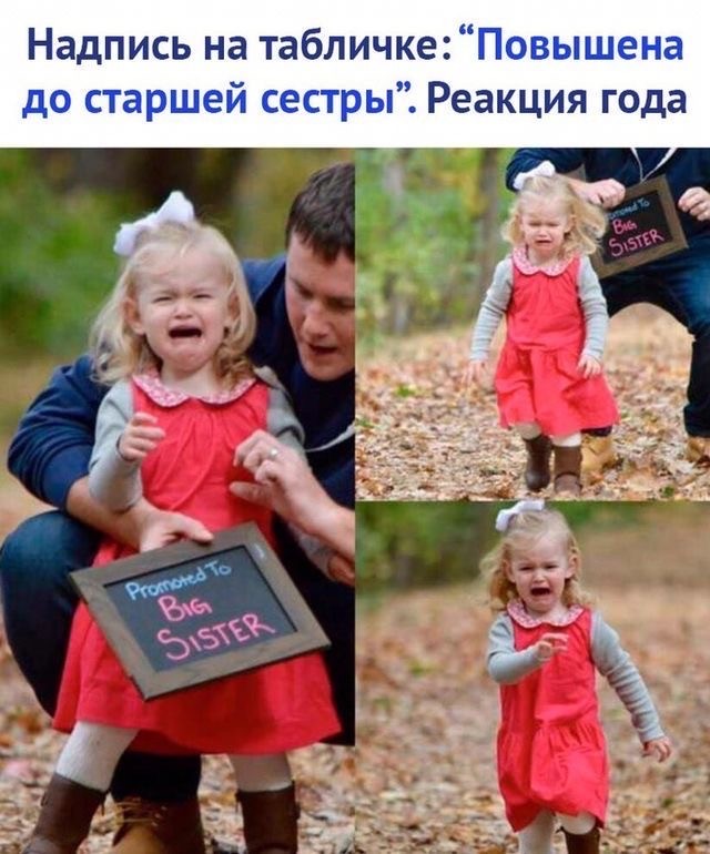 Прикольные и просто красивые картинки