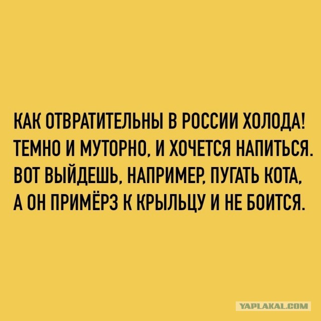 Веселые картинки в пятницу (10.01)