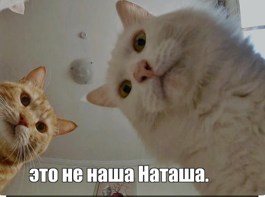 Мечта Наташки