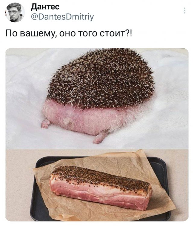 Так себе картинки 09.03.25