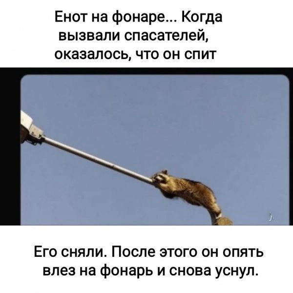 Юмор для тех, кто уже повзрослел и понял, что выходные — это миф
