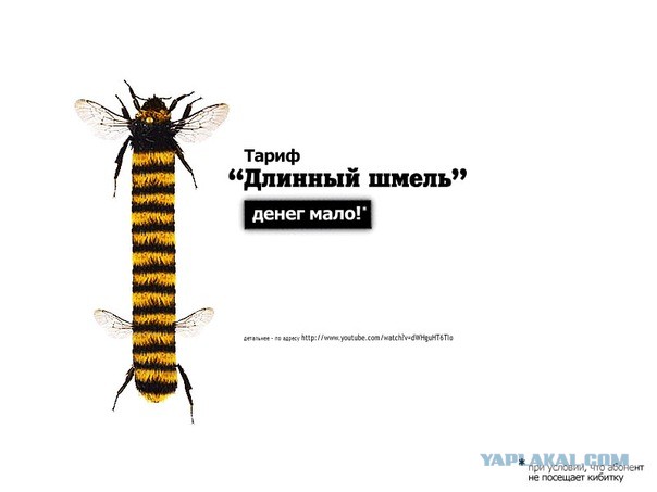Про Пашу и Варум