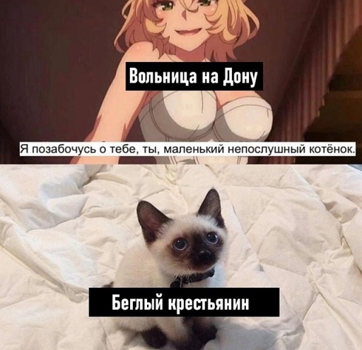 А где Цой?