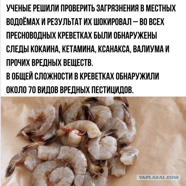 *БАЯН*Ну что делать будем?