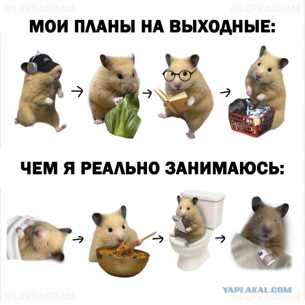 Небаянистая деградация 11