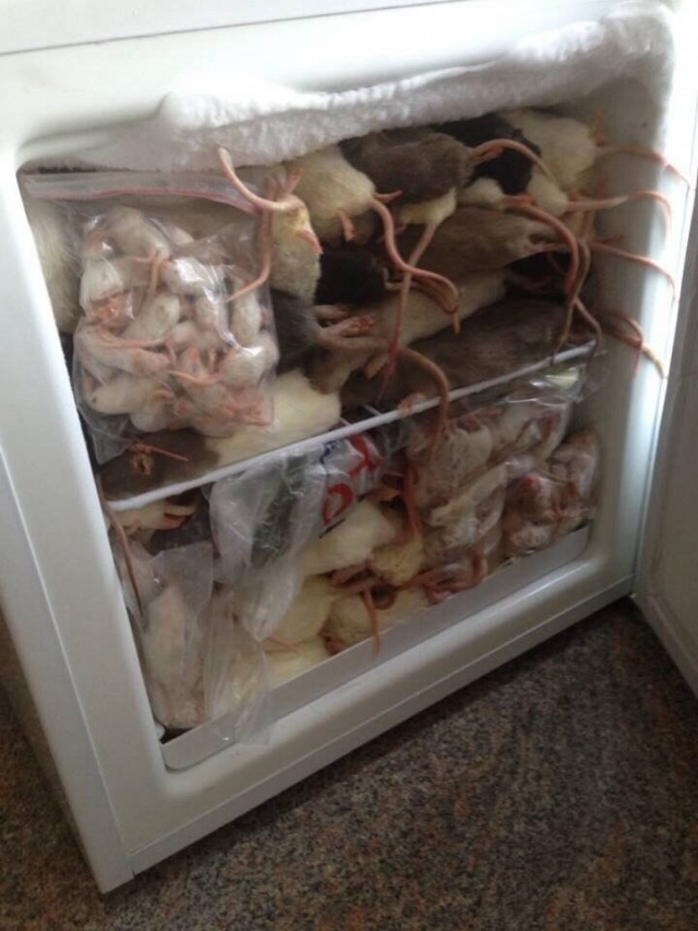 Плов