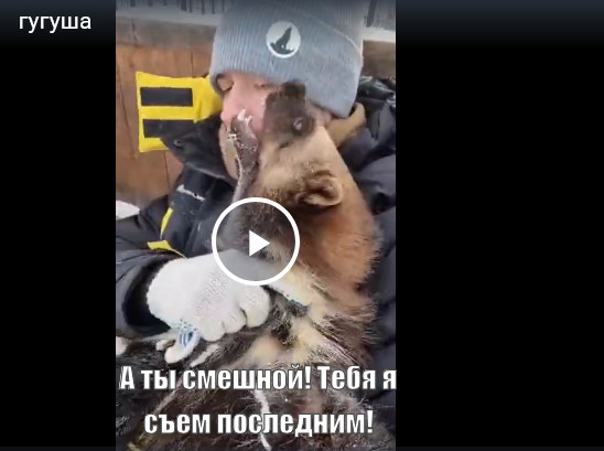 Гугуша