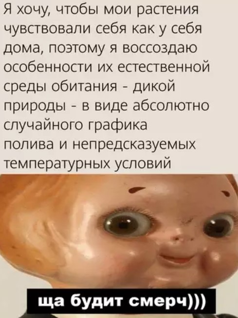 Картиночки, баянчики 07 апреля