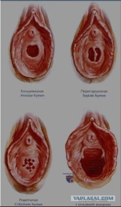 Конкурс мудацкой упаковки⁠⁠