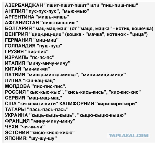 Пять русских звуков, которых нет в китайском языке
