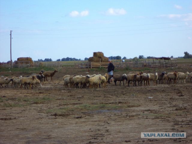 Рыбалка в Астрахани