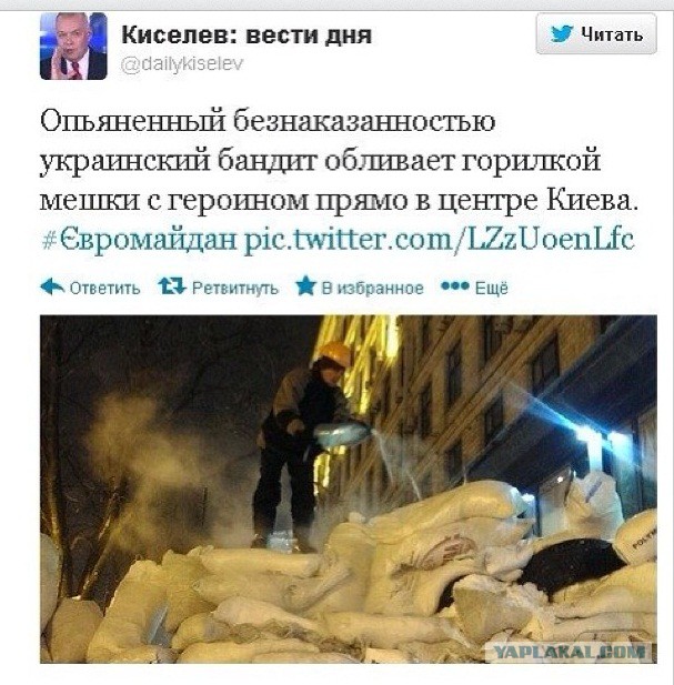 Беркут пошел на штурм
