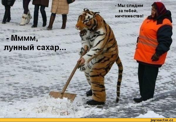 Весёлые картинки. Разбавим будни