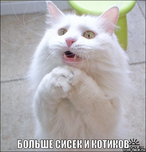 Продолжение "пятница без Украины на ЯПе"