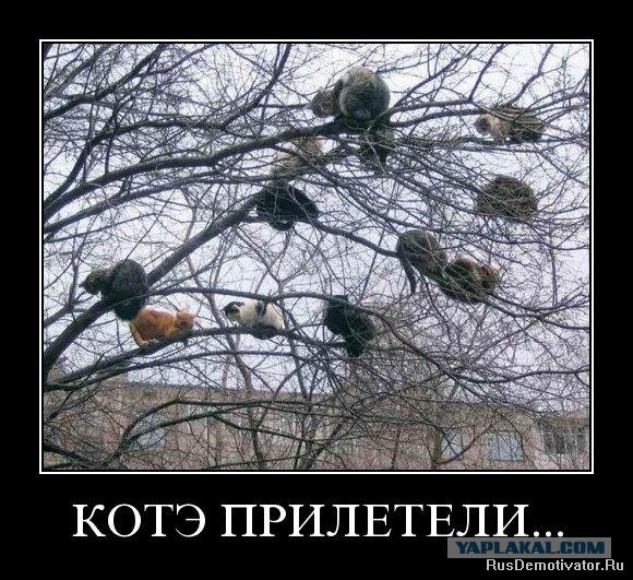 Поднимаем настроение