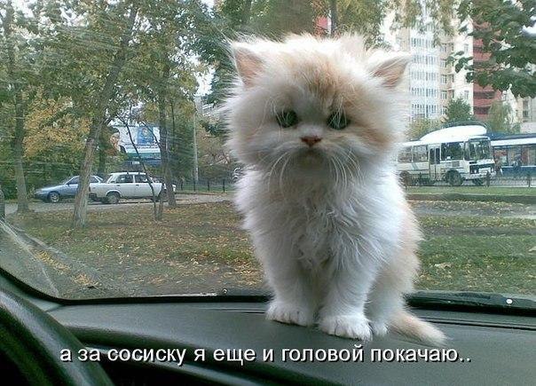 Поднимаем настроение