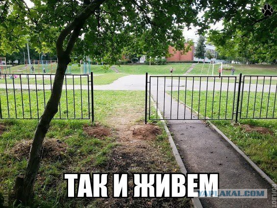 Подборка картинок