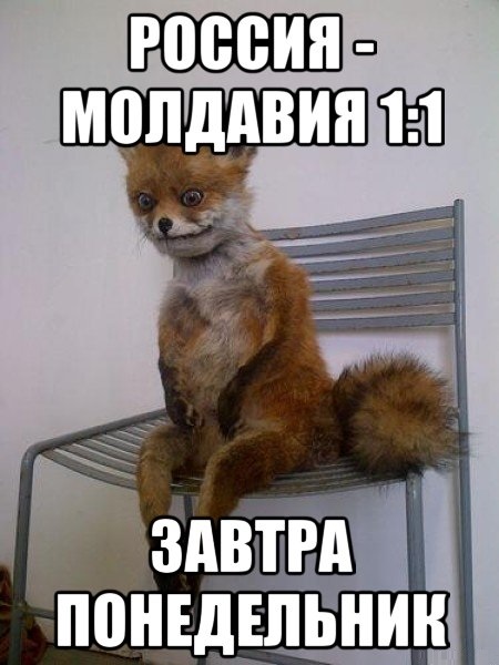 Евро 2016