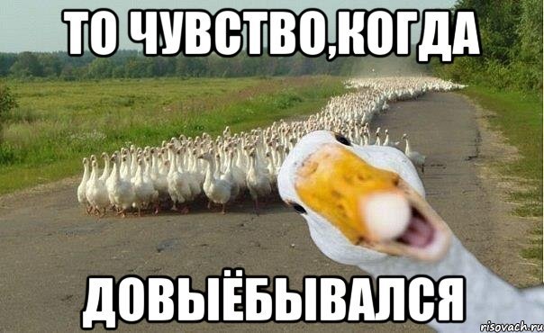 Захват 21+