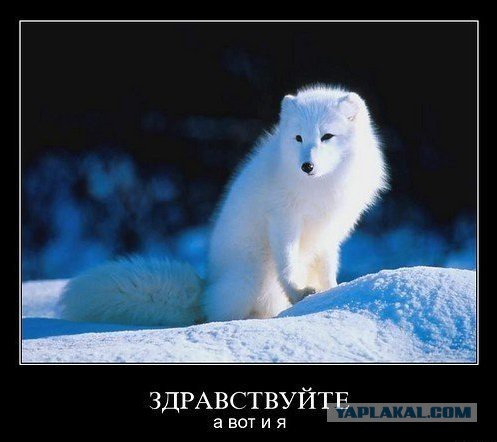 Позитив от Самого
