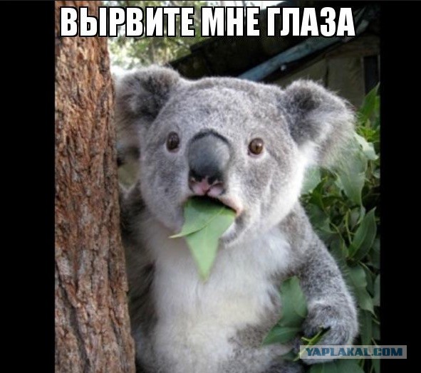 Внеземная любовь!