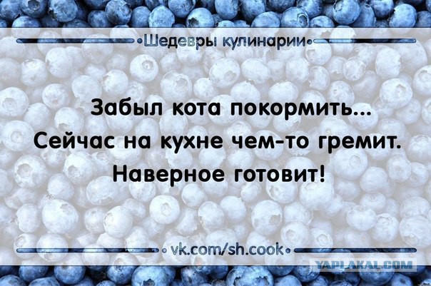 Услышал шум на кухне