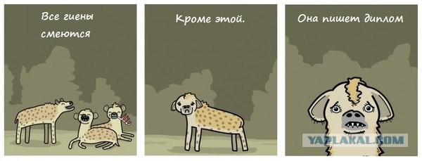 Позитивные картинки