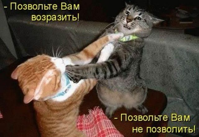 Котовторнику посвящается.