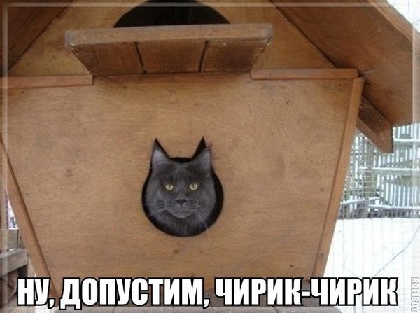 Картинки разные
