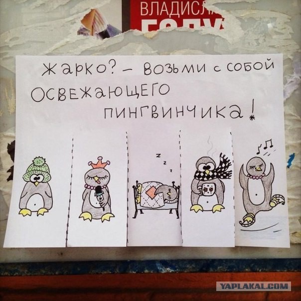 Позитивные картинки