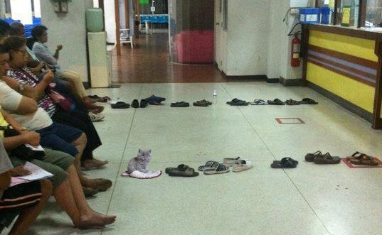 Как вам такая очередь?