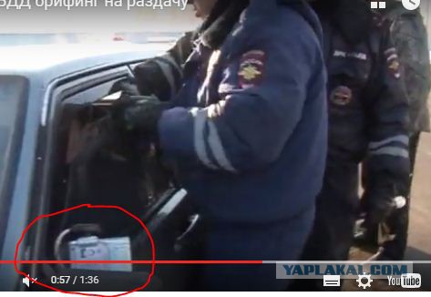 Что бывает с большими "умниками"