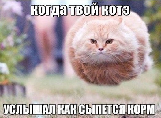 Картинки и демотиваторы