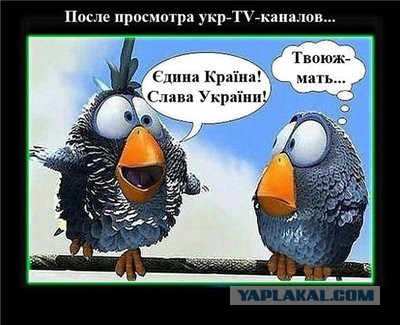 Обзор сми по Украине